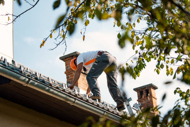 Roof Coating Services in Milton, FL